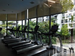 The Rainforest (D23), Condominium #188037432